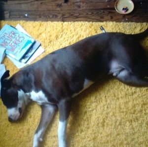 Meet your Posher, Zilah